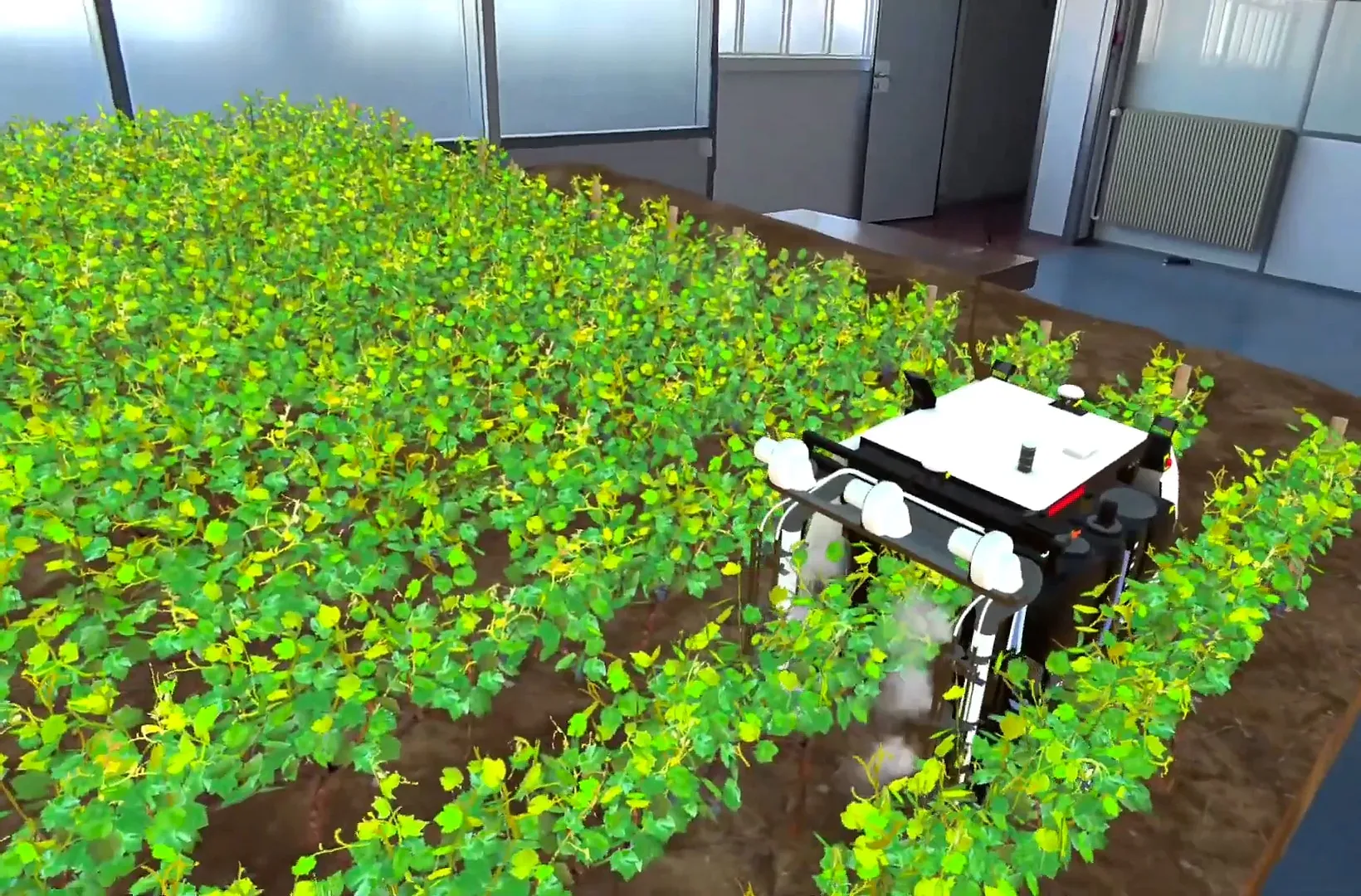 Robot viticole Yanmar sur une parcelle de vigne virtuelle posée dans un bureau, réalité mixte