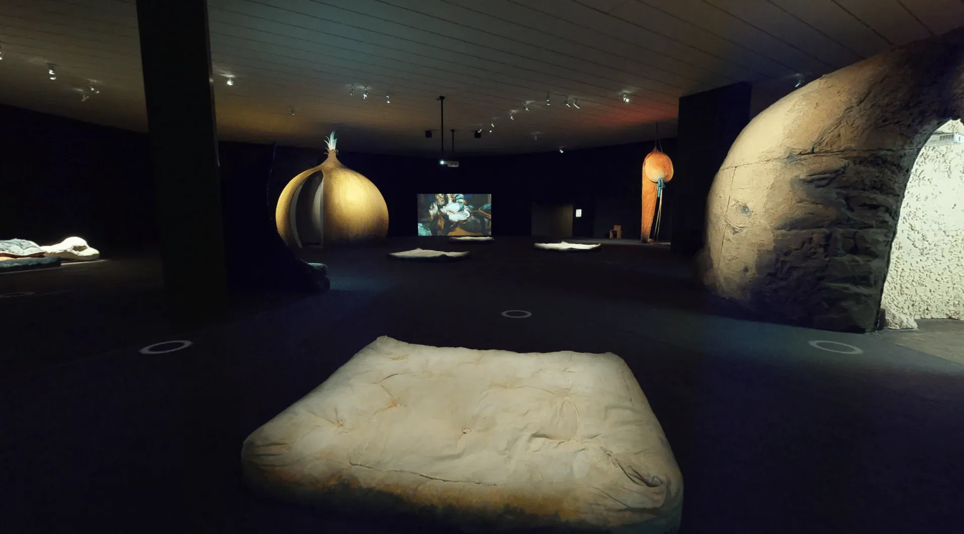 Musée d’Art Contemporain de Lyon (image 7)