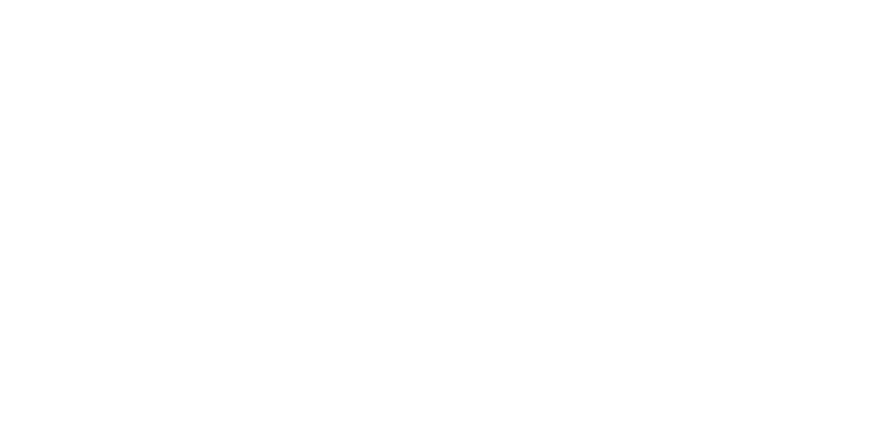les-mousquetaires-logo